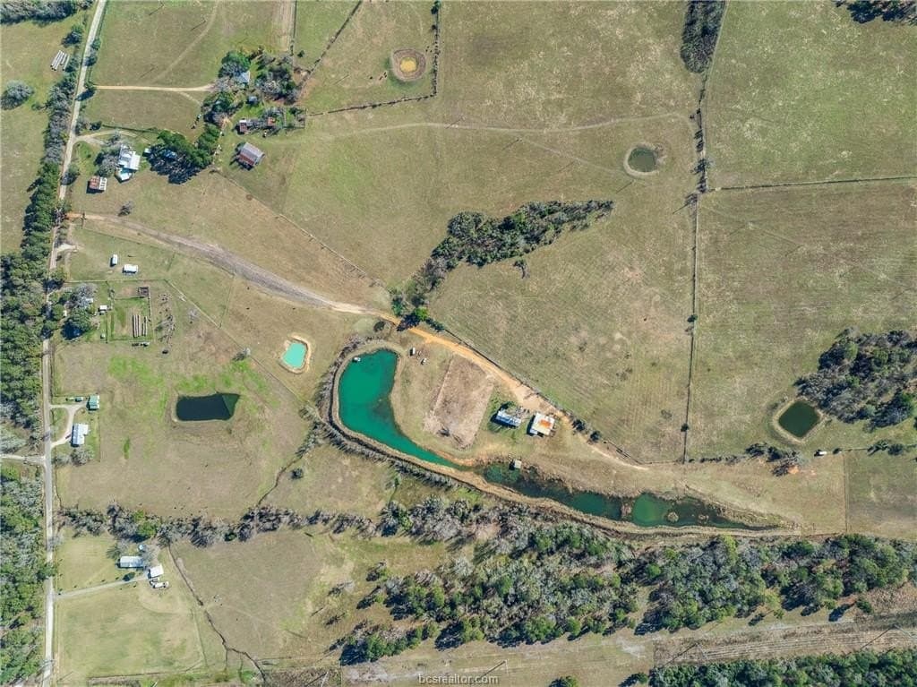 18.97 acres in Grimes County gallery image 2