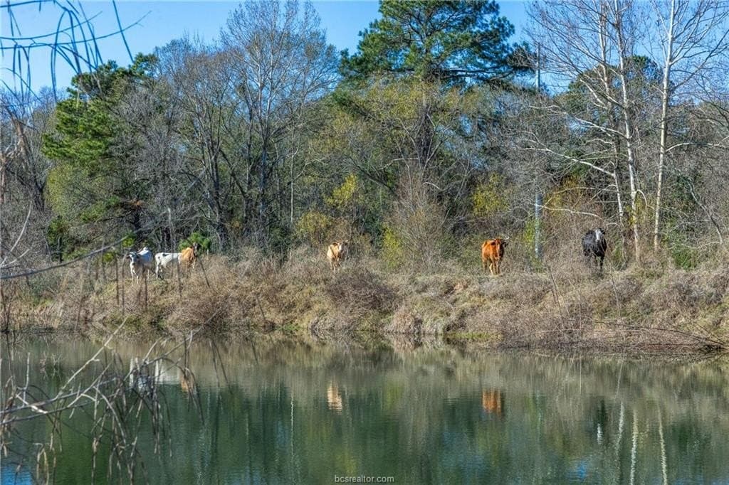 18.97 acres in Grimes County featured view