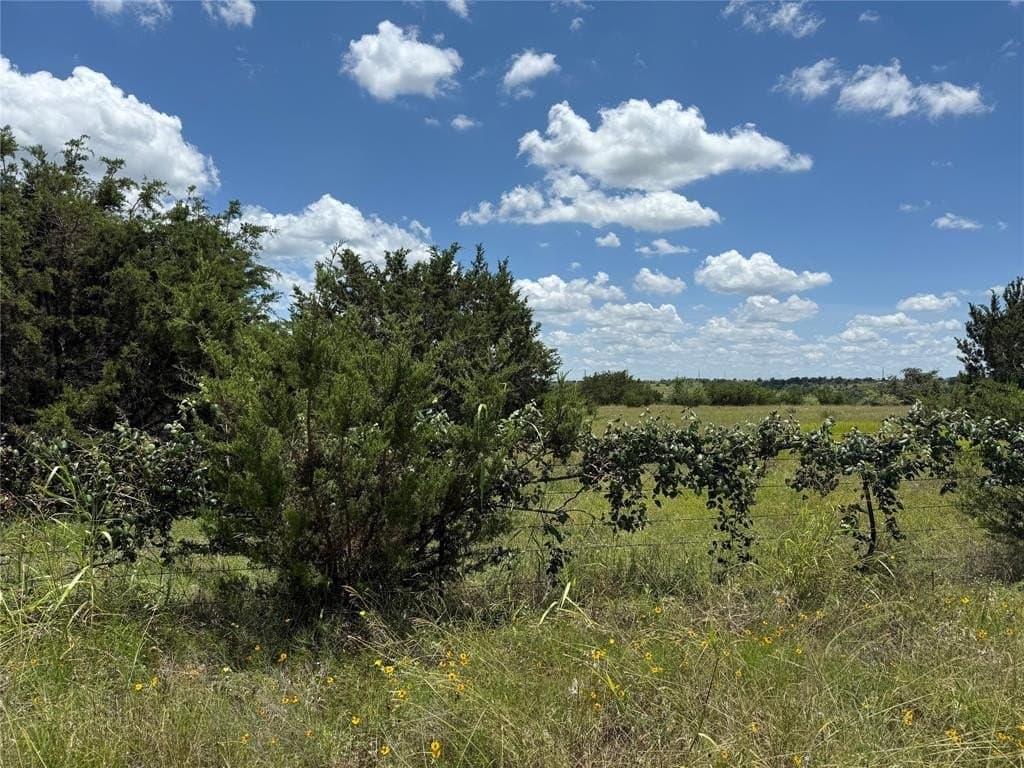 12.25 acres in Bosque County gallery image 2