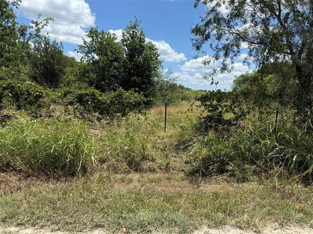 12.25 acres in Bosque County featured view