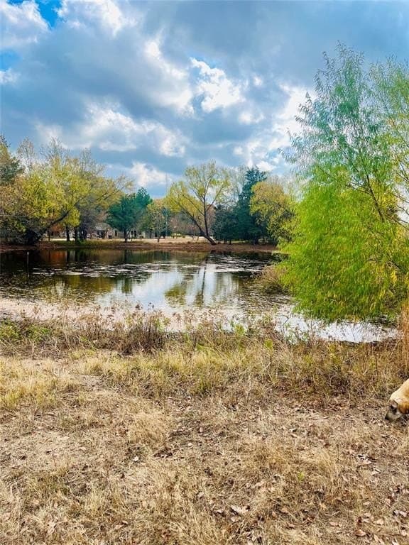 31.77 acres in Lamar County gallery image 4