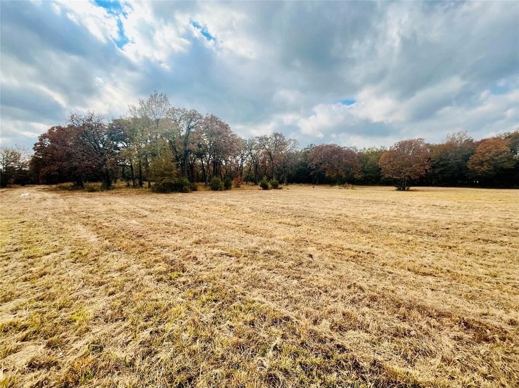 31.77 acres in Lamar County featured view
