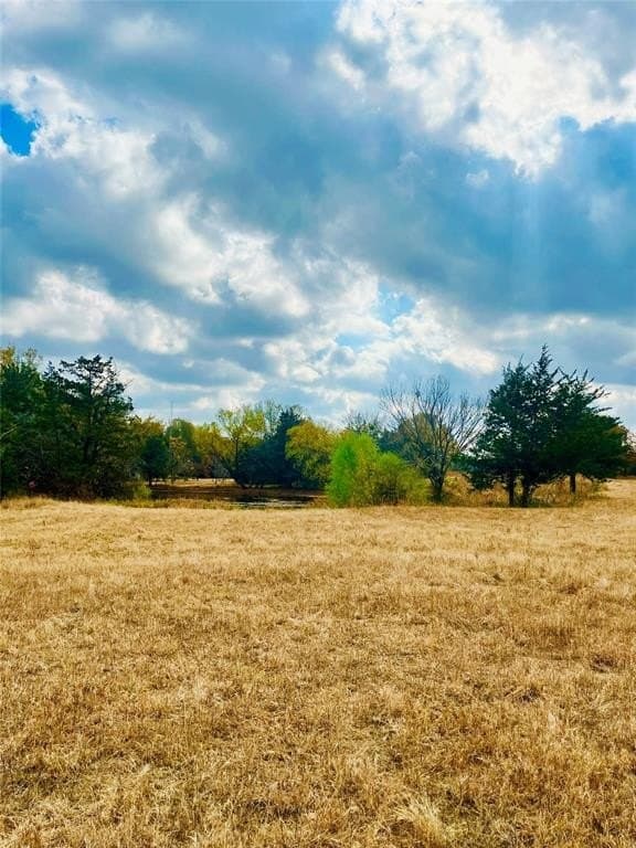 31.77 acres in Lamar County gallery image 3