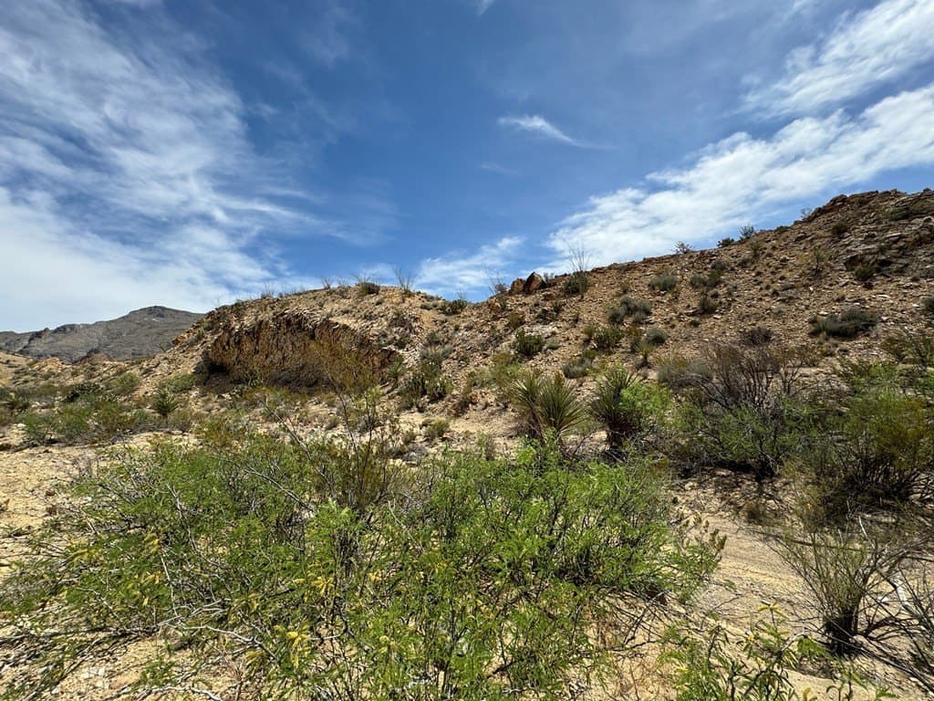 80 acres in Brewster County gallery image 4