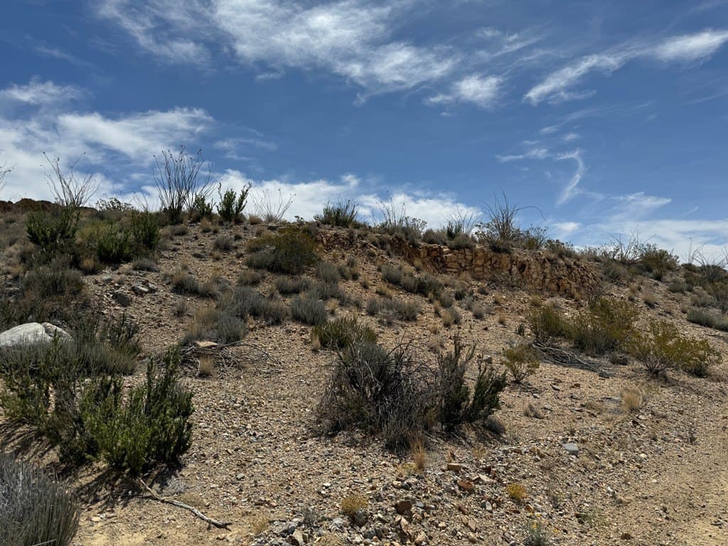 80 acres in Brewster County - photo 39