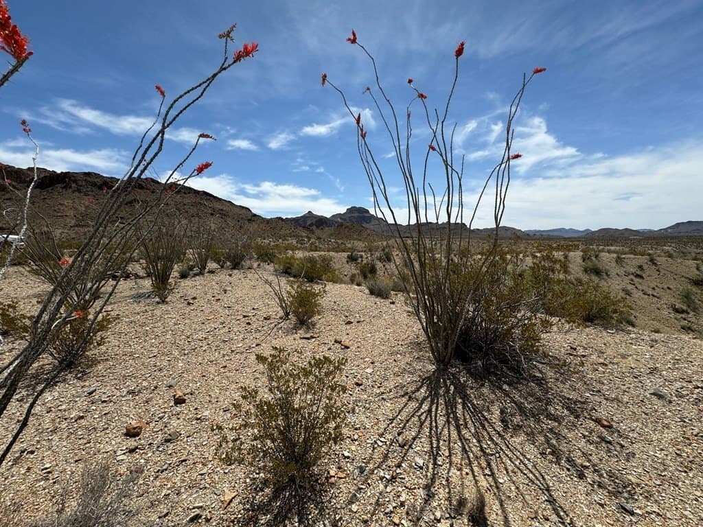 80 acres in Brewster County - photo 45