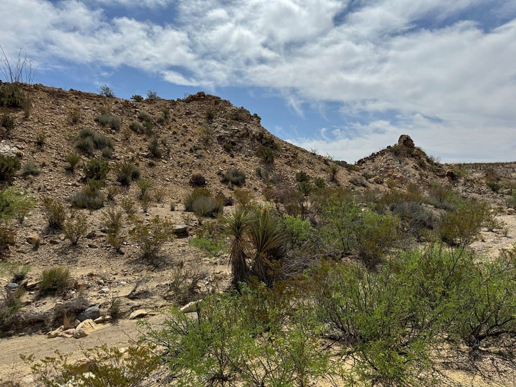 80 acres in Brewster County - photo 12