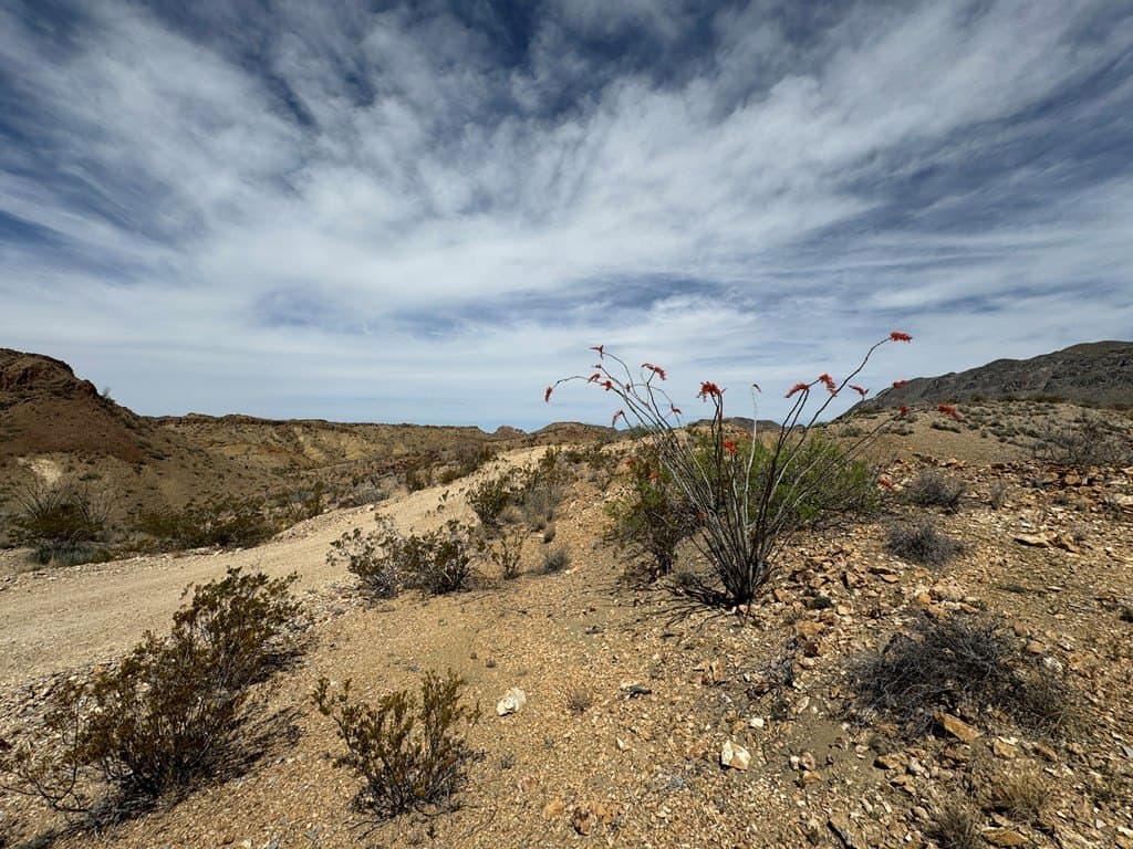 80 acres in Brewster County - photo 35