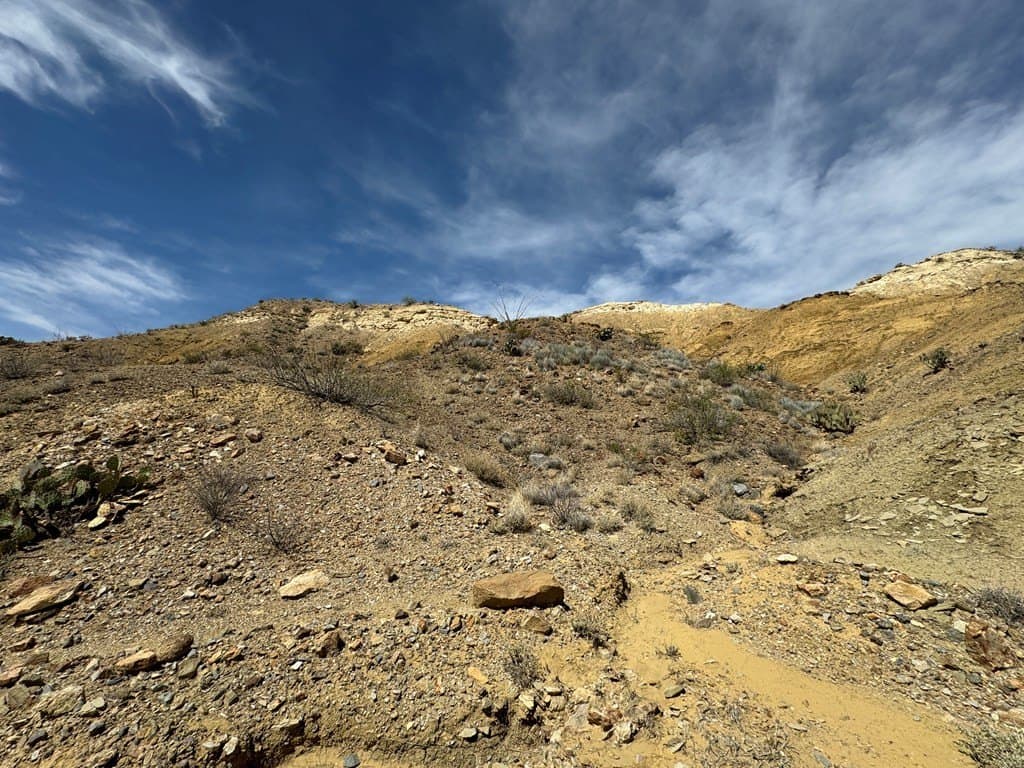 80 acres in Brewster County gallery image 3