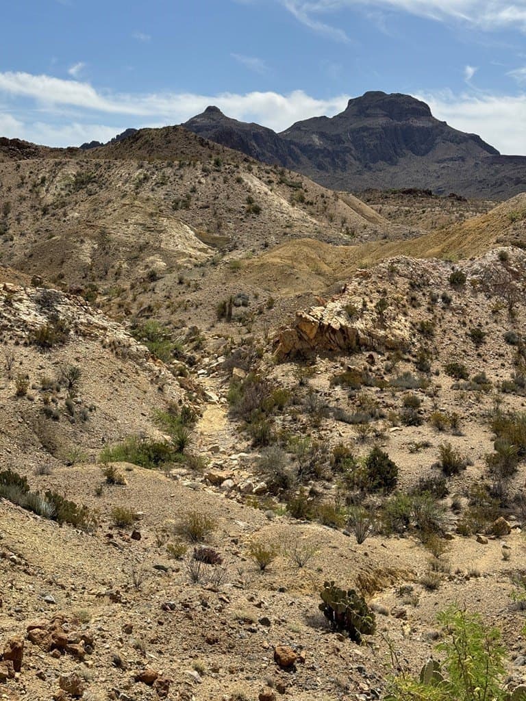 80 acres in Brewster County - photo 15