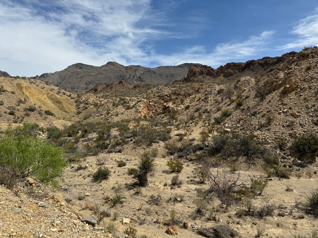 80 acres in Brewster County - photo 10