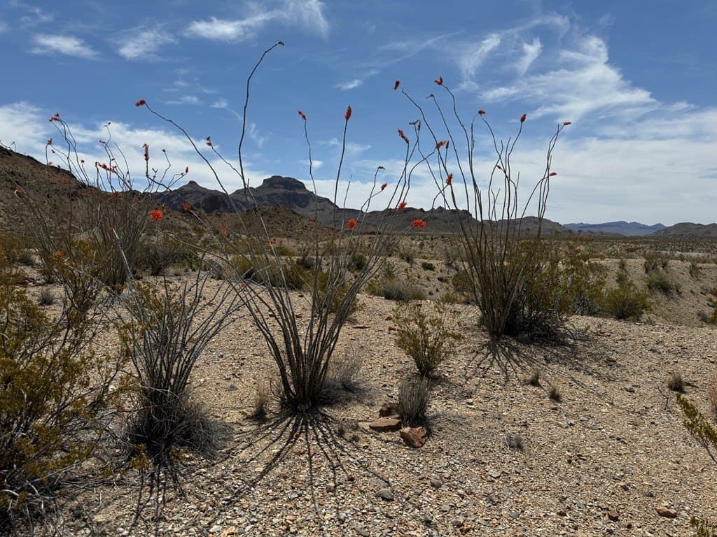 80 acres in Brewster County - photo 43