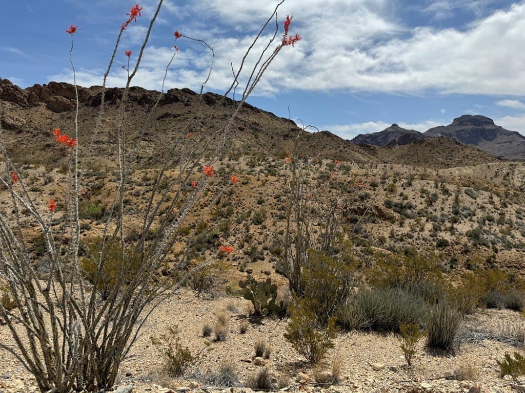 80 acres in Brewster County - photo 26