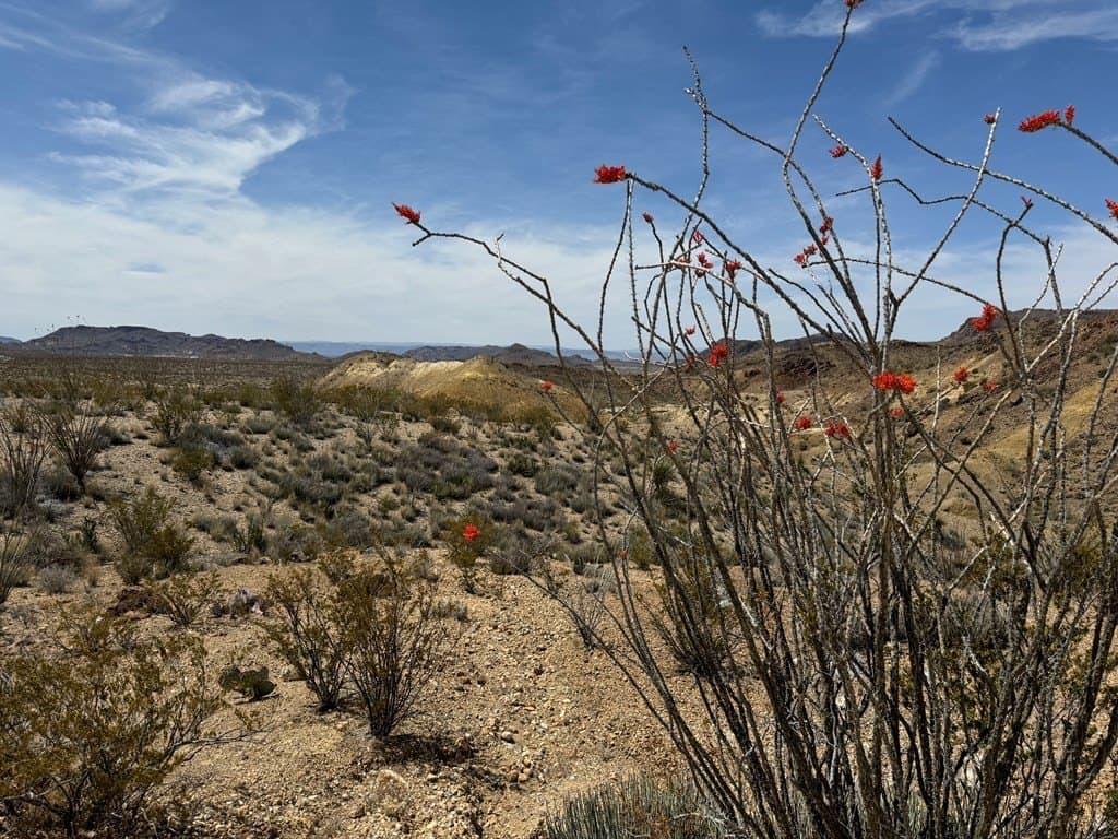 80 acres in Brewster County - photo 33