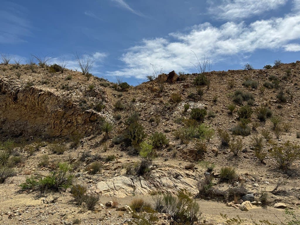 80 acres in Brewster County - photo 7