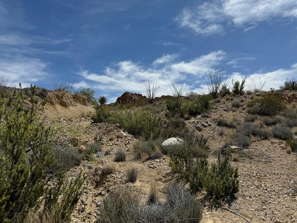80 acres in Brewster County gallery image 2