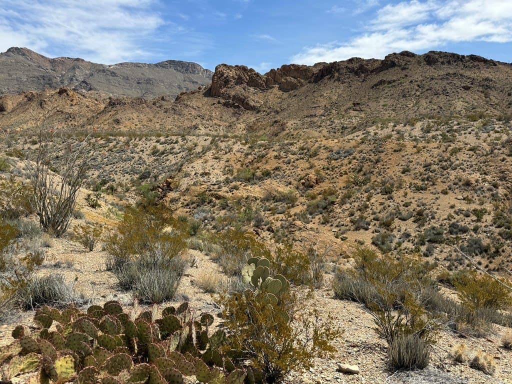 80 acres in Brewster County - photo 20