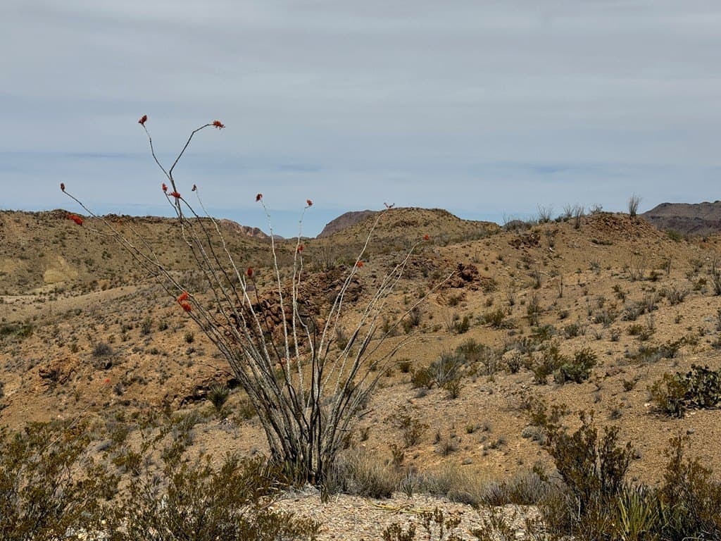 80 acres in Brewster County - photo 42
