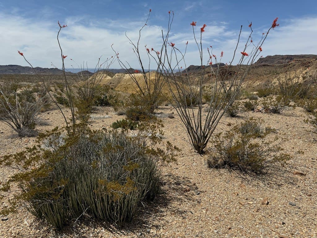 80 acres in Brewster County - photo 41