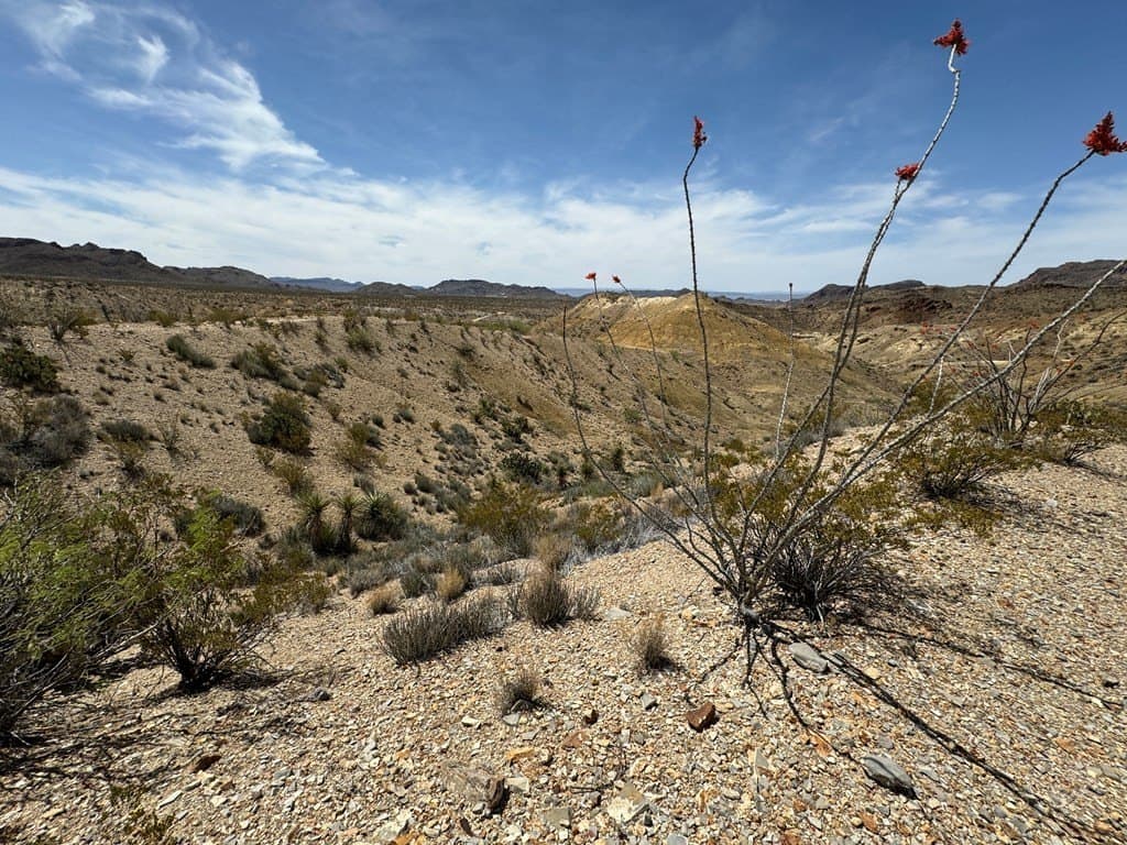 80 acres in Brewster County - photo 47