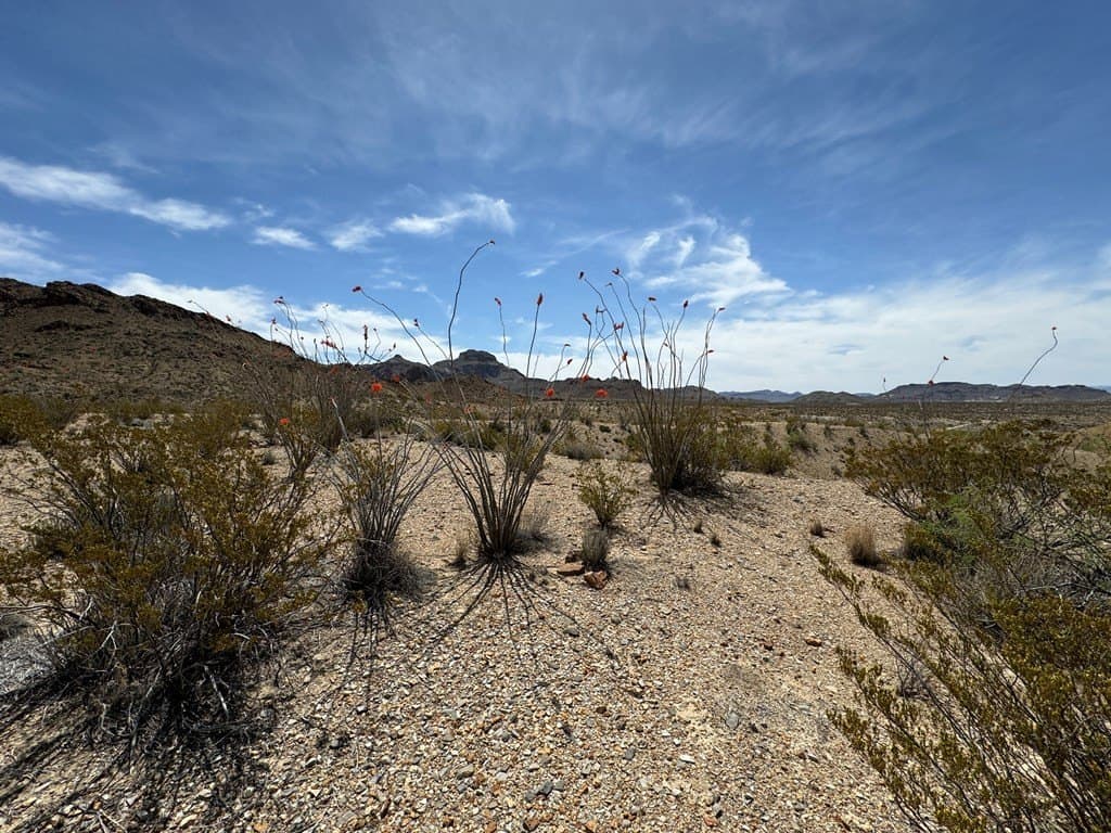 80 acres in Brewster County - photo 44