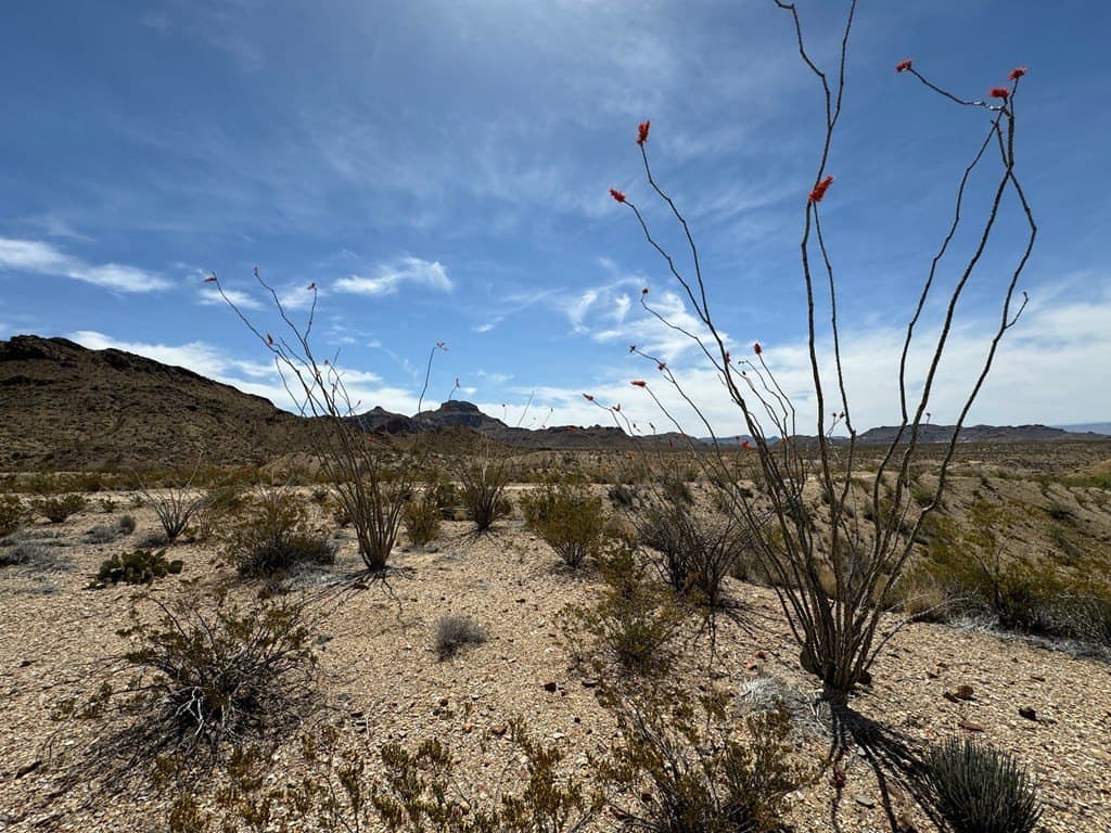 80 acres in Brewster County - photo 49