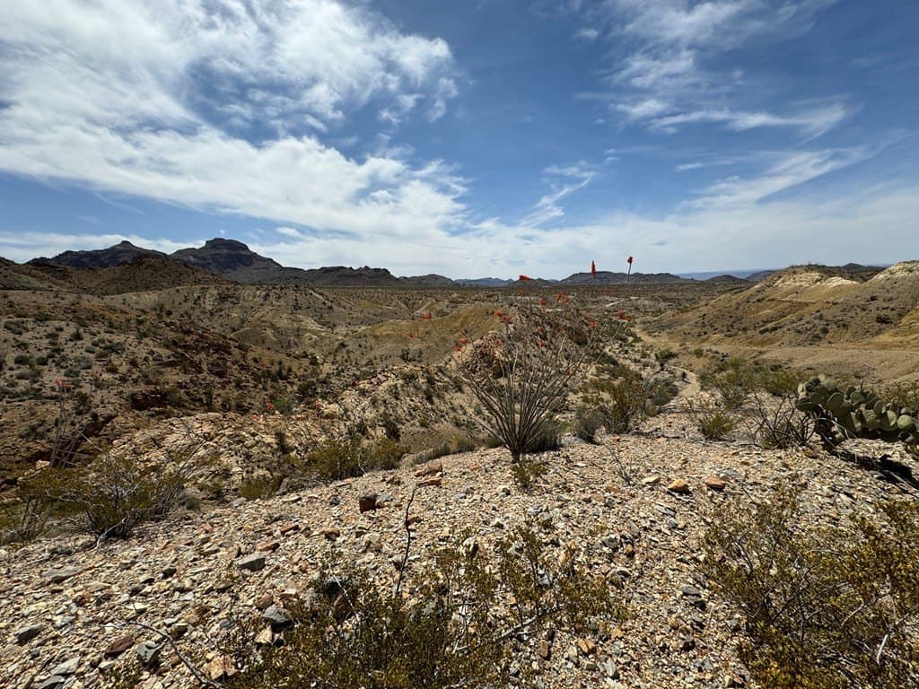 80 acres in Brewster County - photo 14