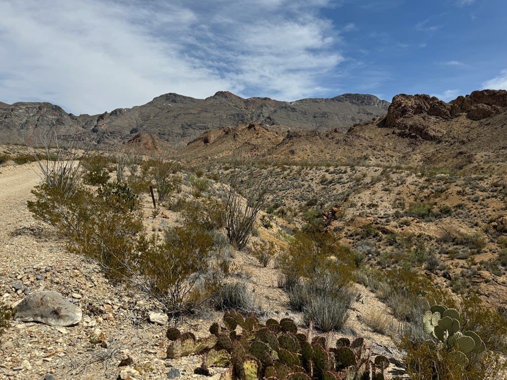 80 acres in Brewster County - photo 19