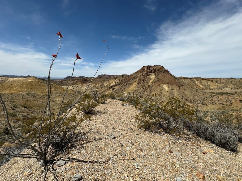 80 acres in Brewster County - photo 48