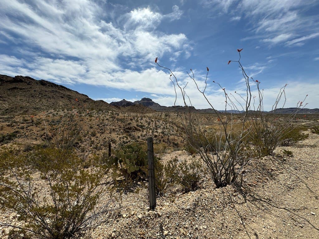 80 acres in Brewster County - photo 25