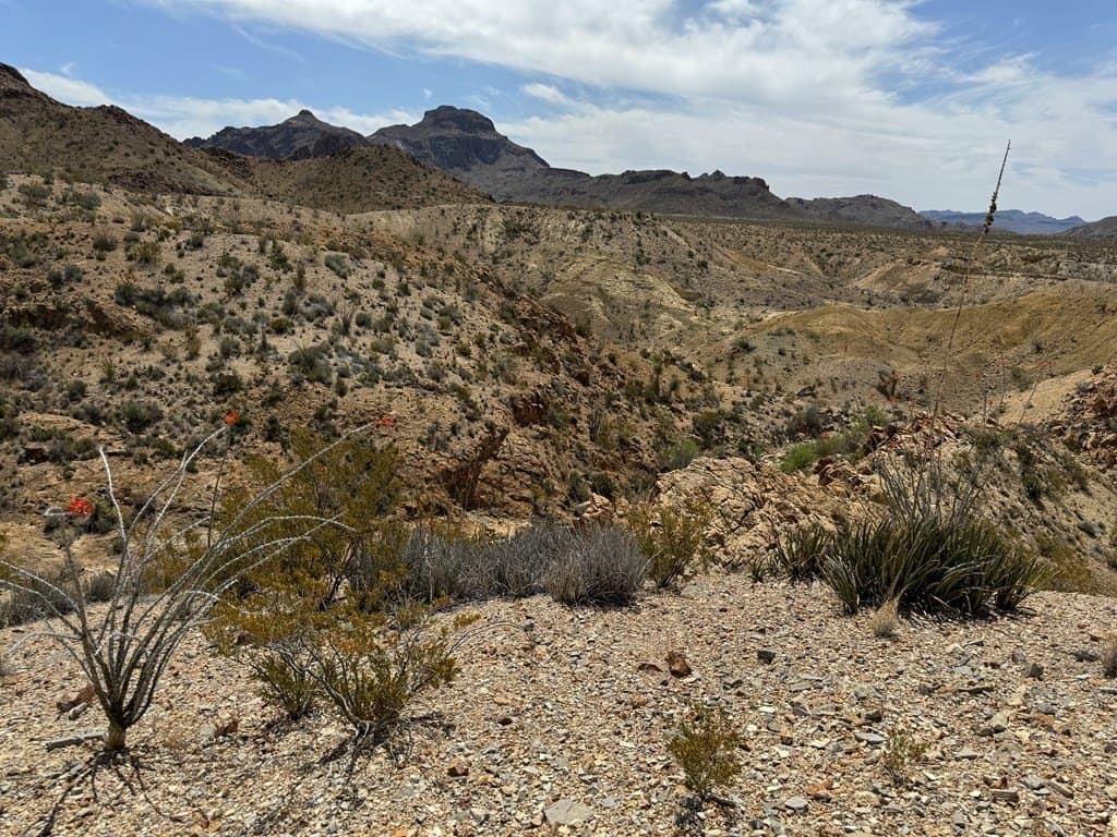 80 acres in Brewster County - photo 21