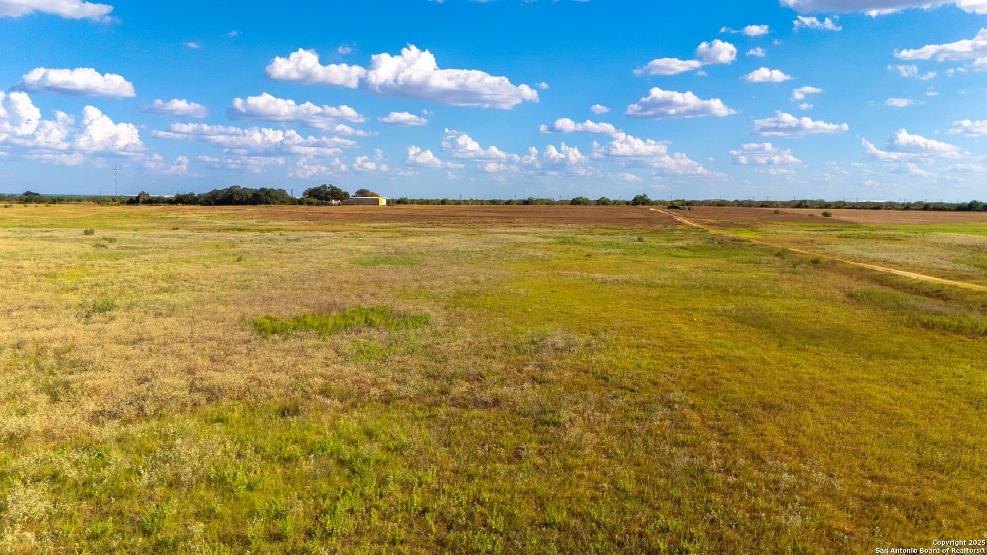 43.79 acres in Wilson County - photo 6