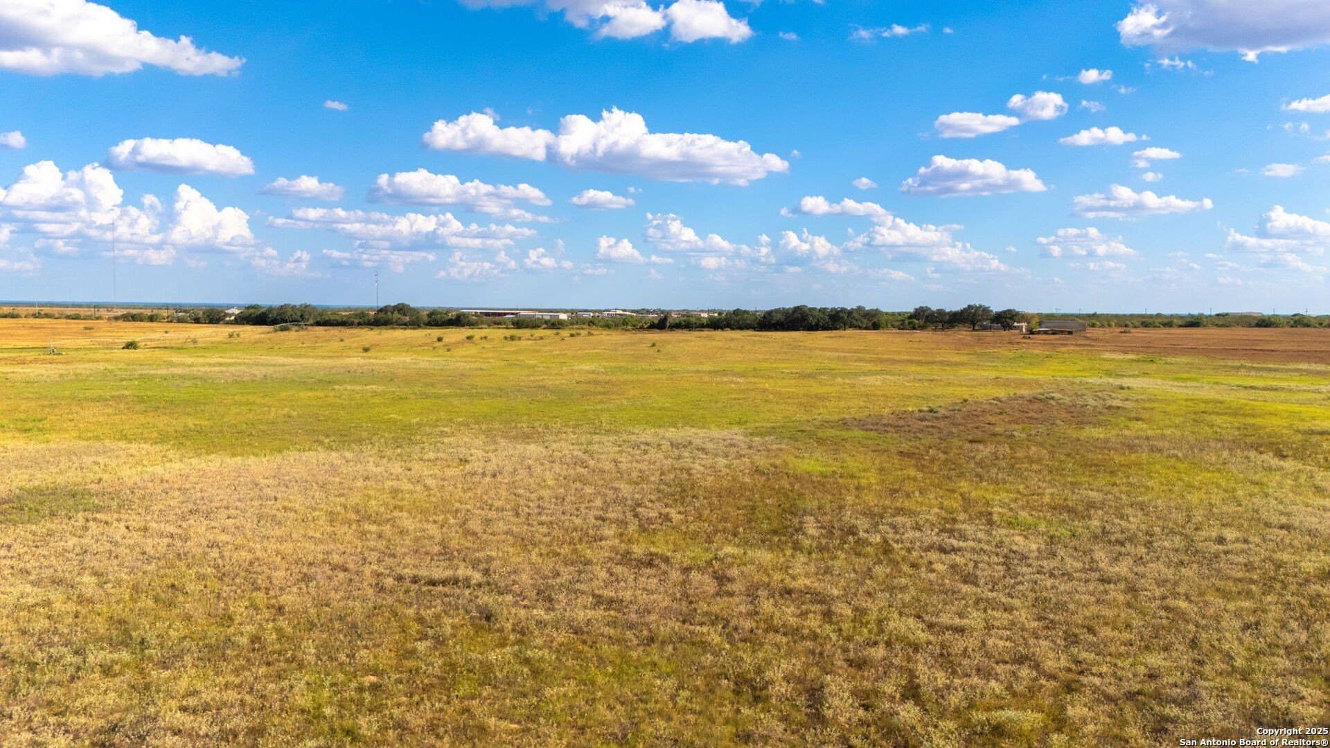 43.79 acres in Wilson County - photo 8