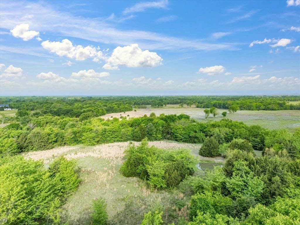 34.17 acres in Hunt County gallery image 3