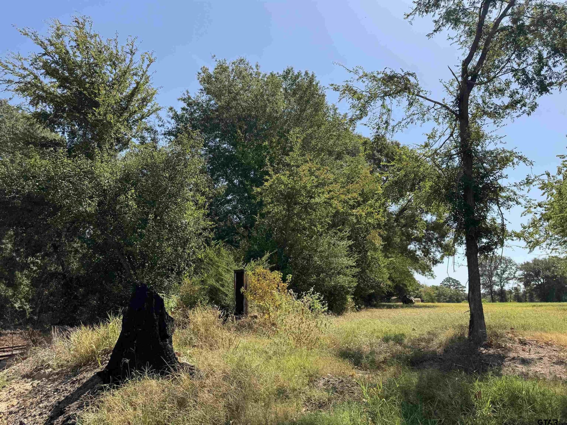 149.02 acres in Henderson County - photo 18