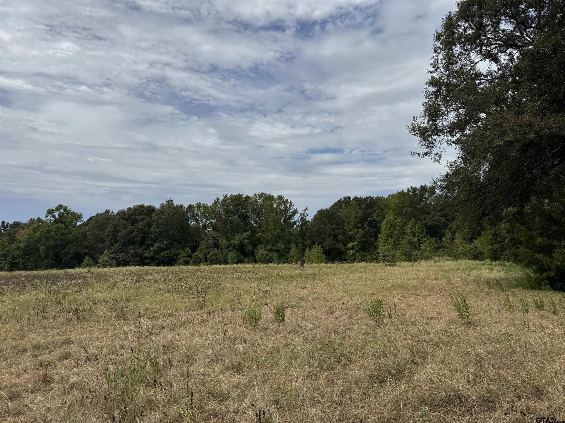 149.02 acres in Henderson County - photo 15