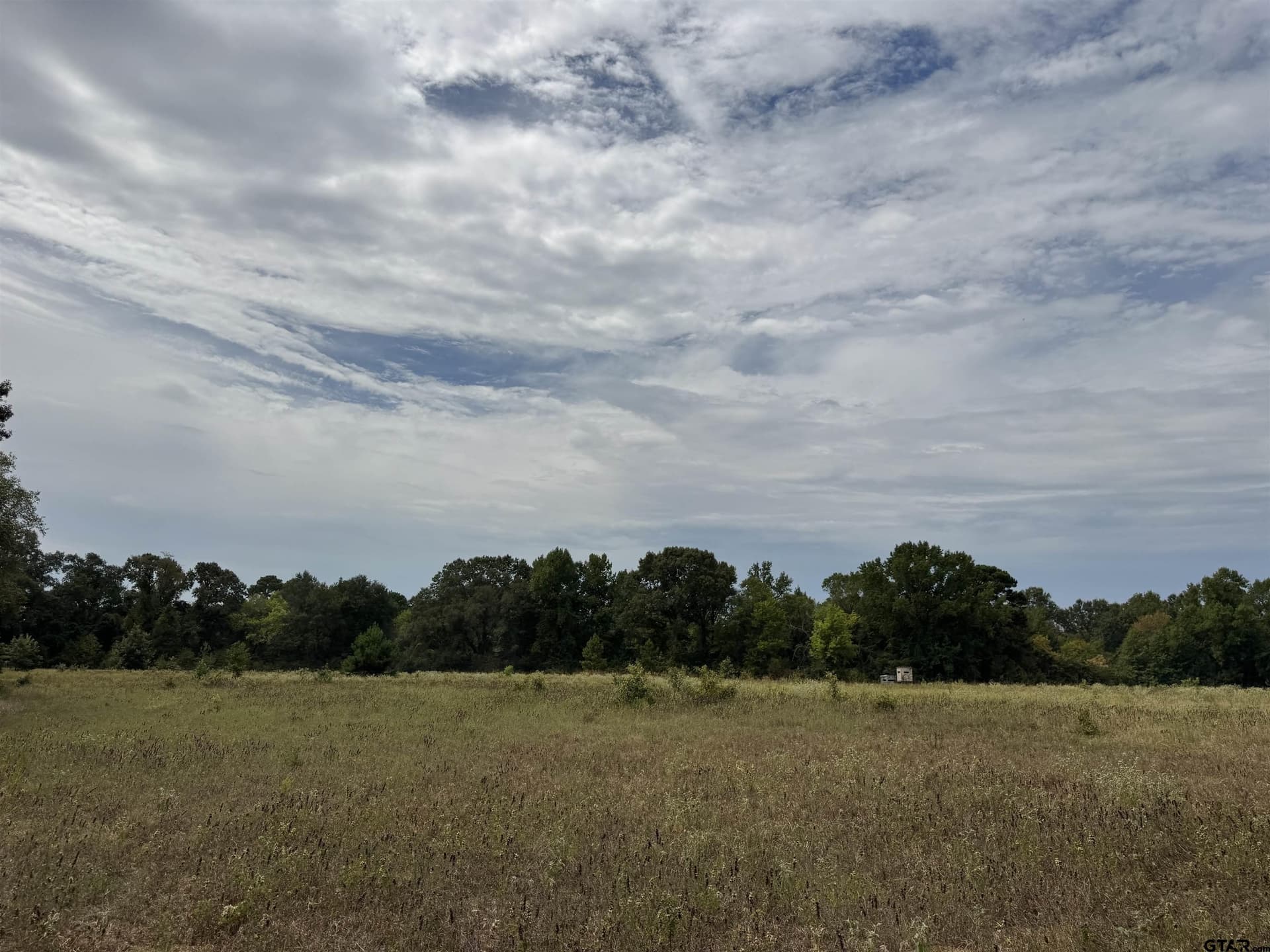 149.02 acres in Henderson County - photo 12