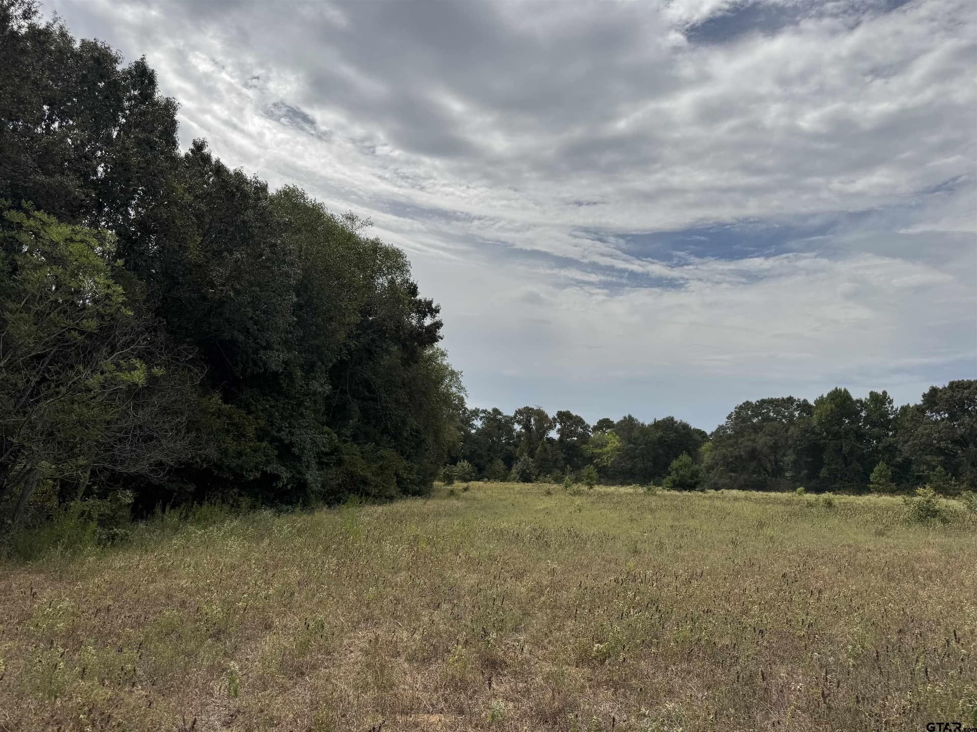 149.02 acres in Henderson County - photo 13