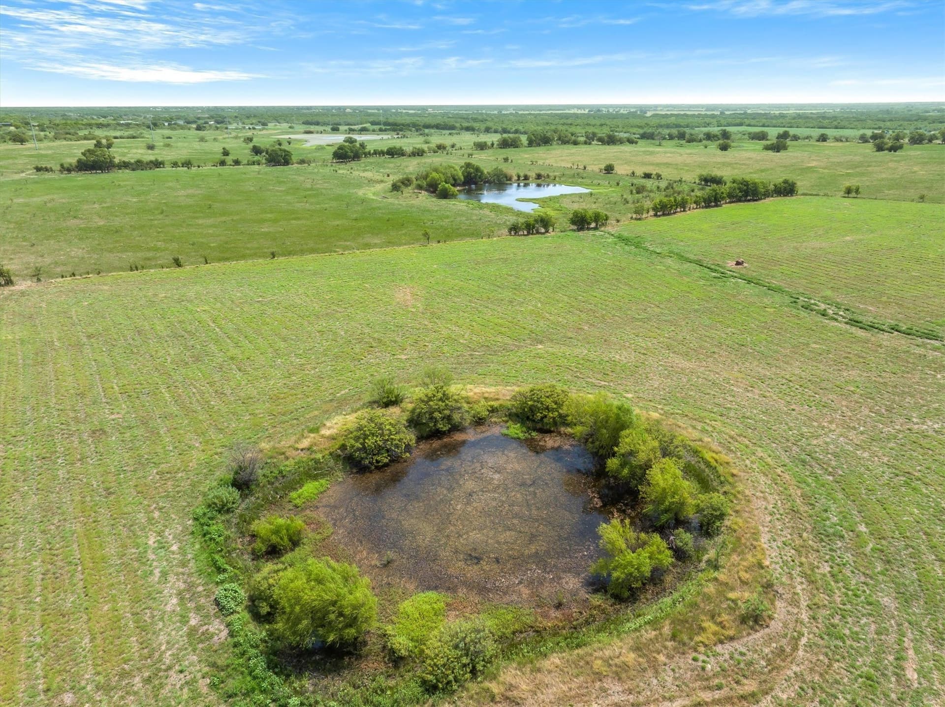 218.36 acres in Kaufman County - photo 15