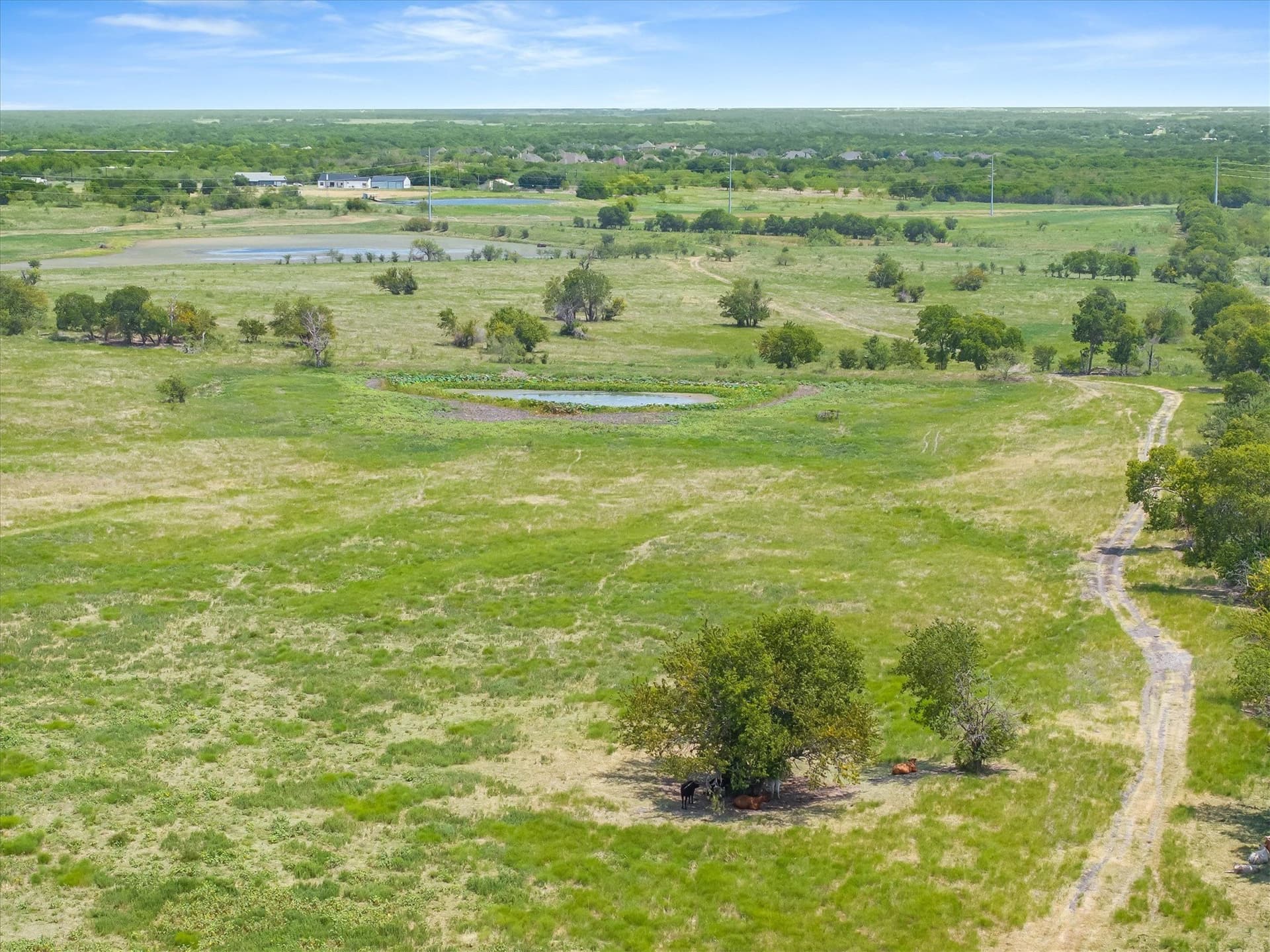 218.36 acres in Kaufman County - photo 4