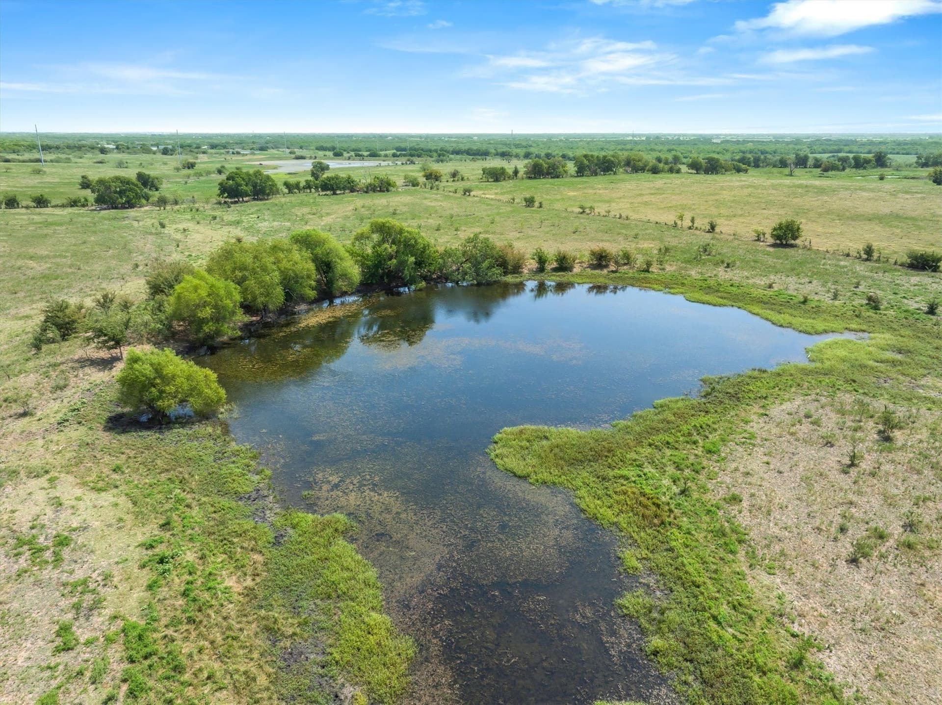 218.36 acres in Kaufman County - photo 17