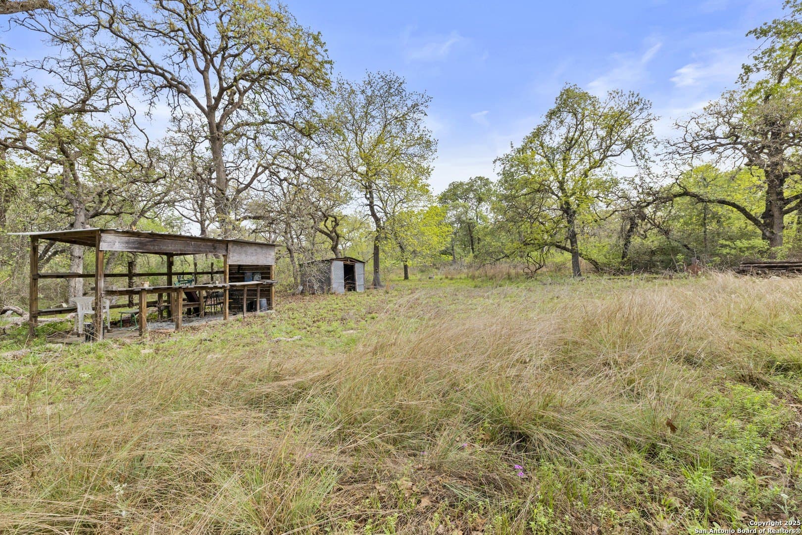 10 acres in Guadalupe County - photo 24