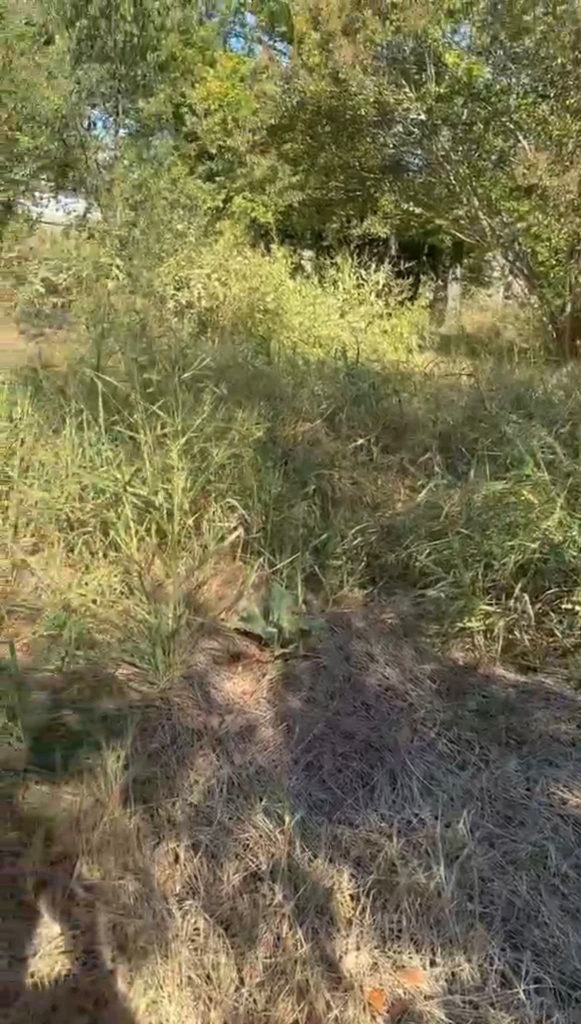0.17 acres in Denton County - photo 2
