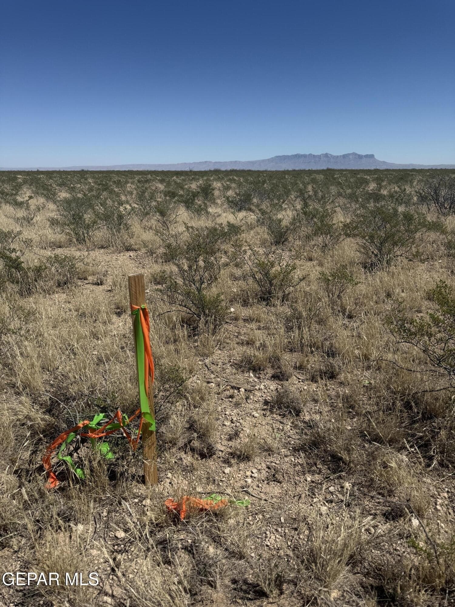 50 acres in Hudspeth County - photo 6