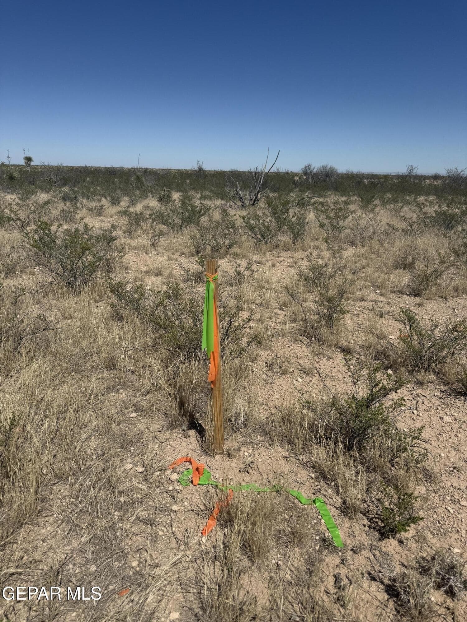 50 acres in Hudspeth County - photo 9