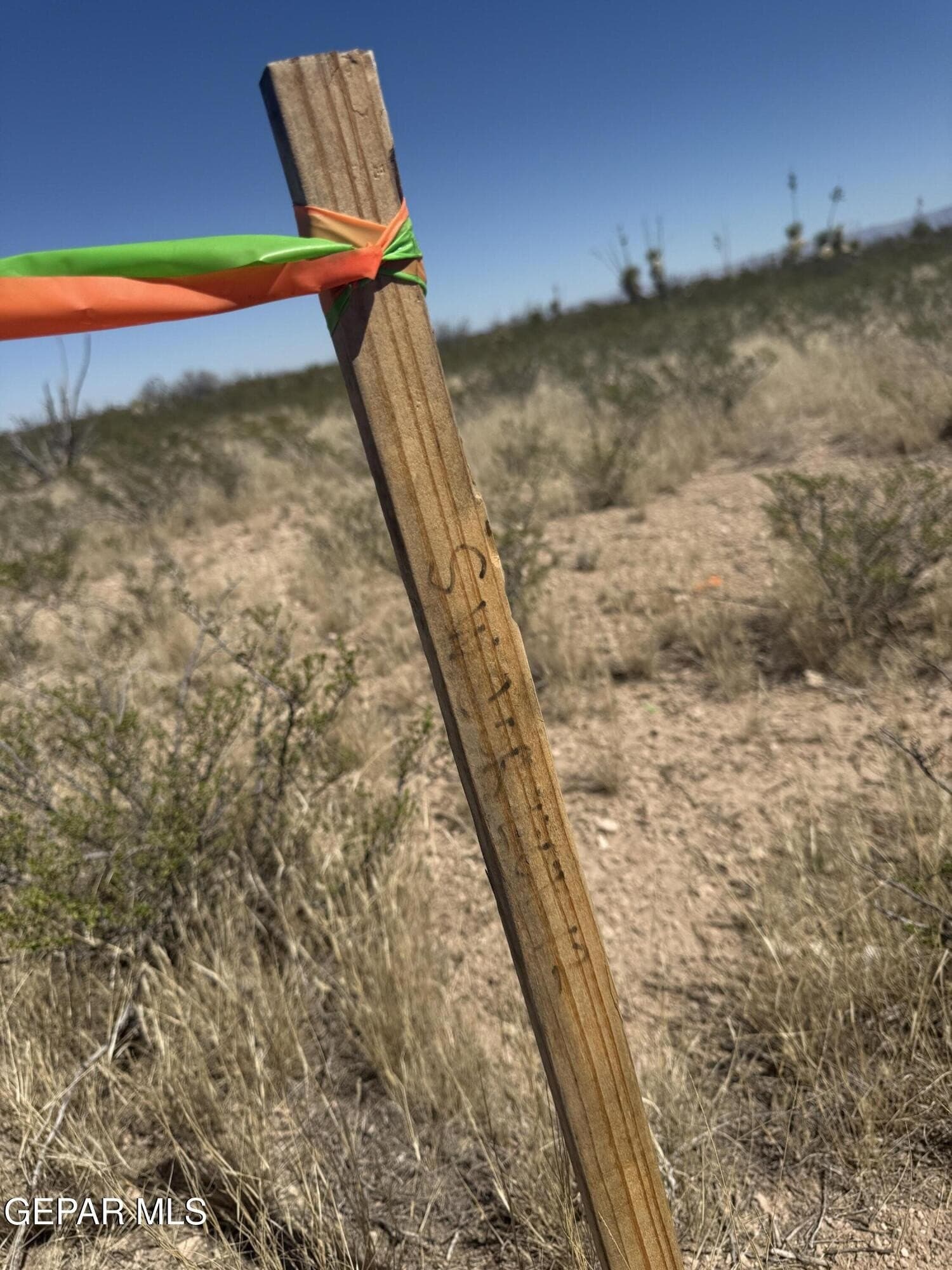 50 acres in Hudspeth County - photo 8