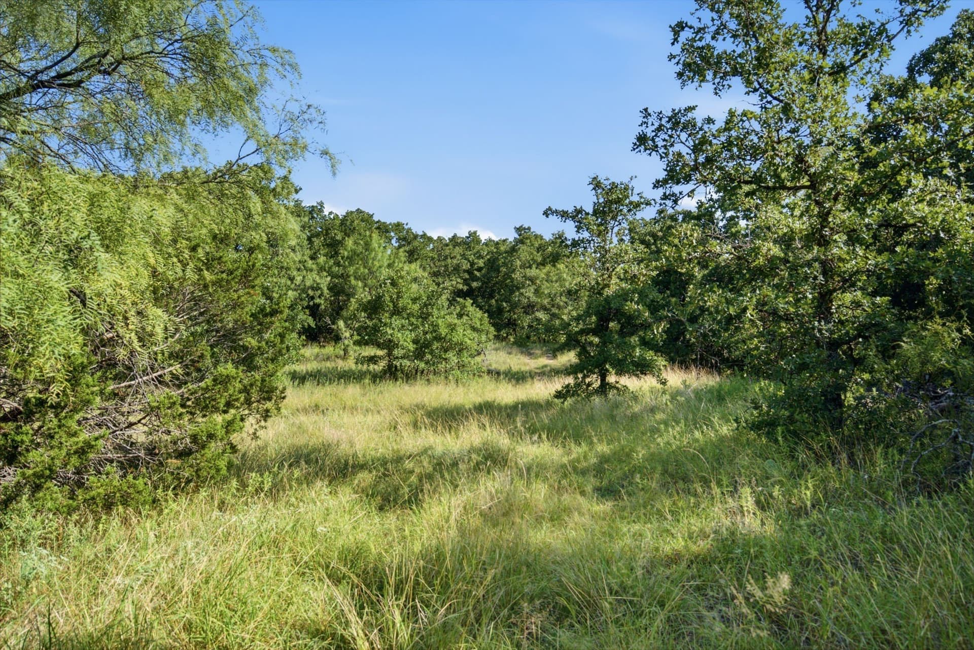 28.52 acres in Eastland County - photo 40