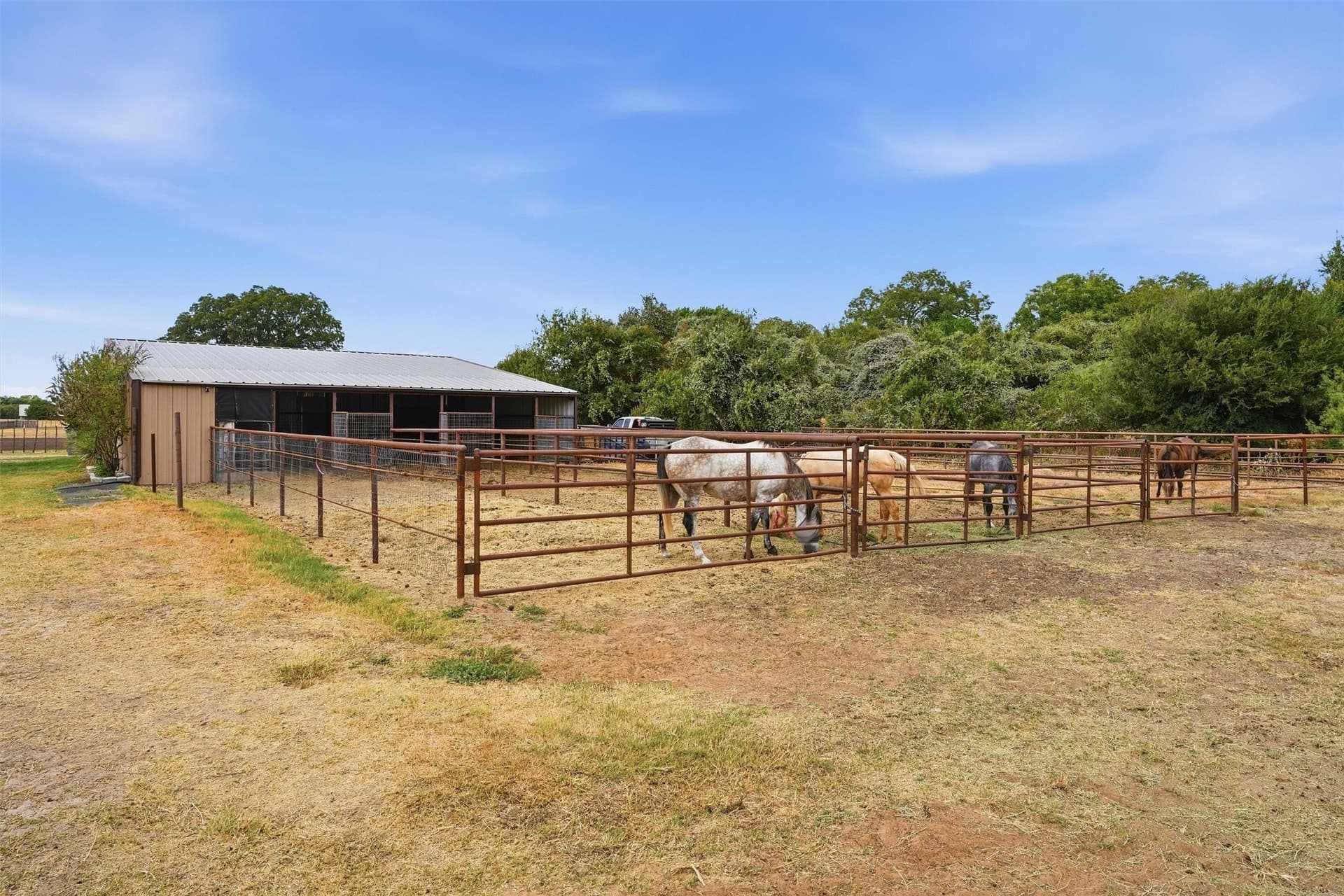 6 acres in Parker County - photo 20