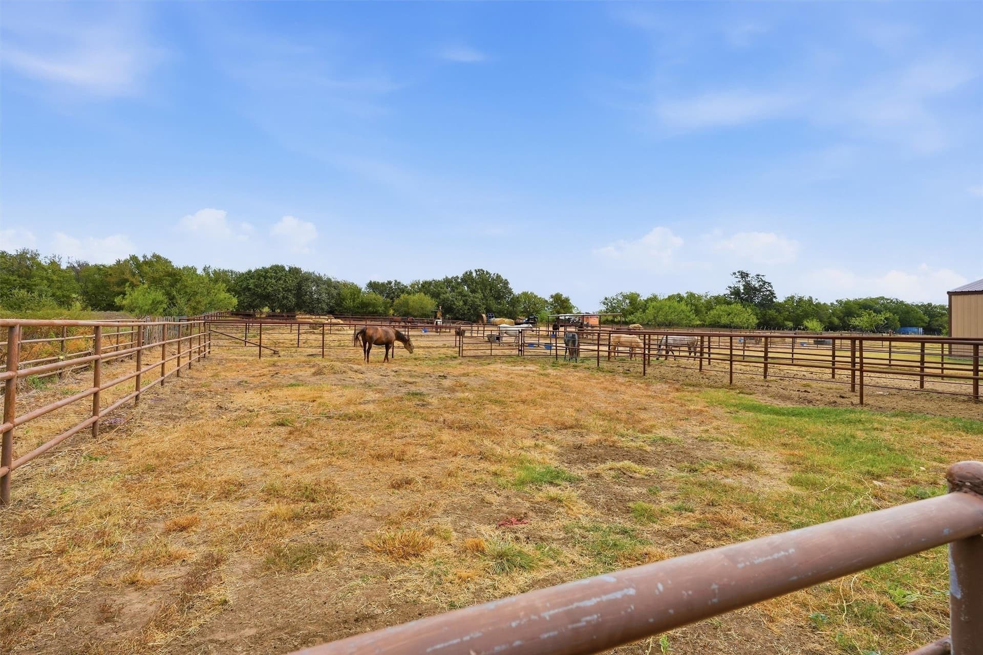 6 acres in Parker County - photo 28