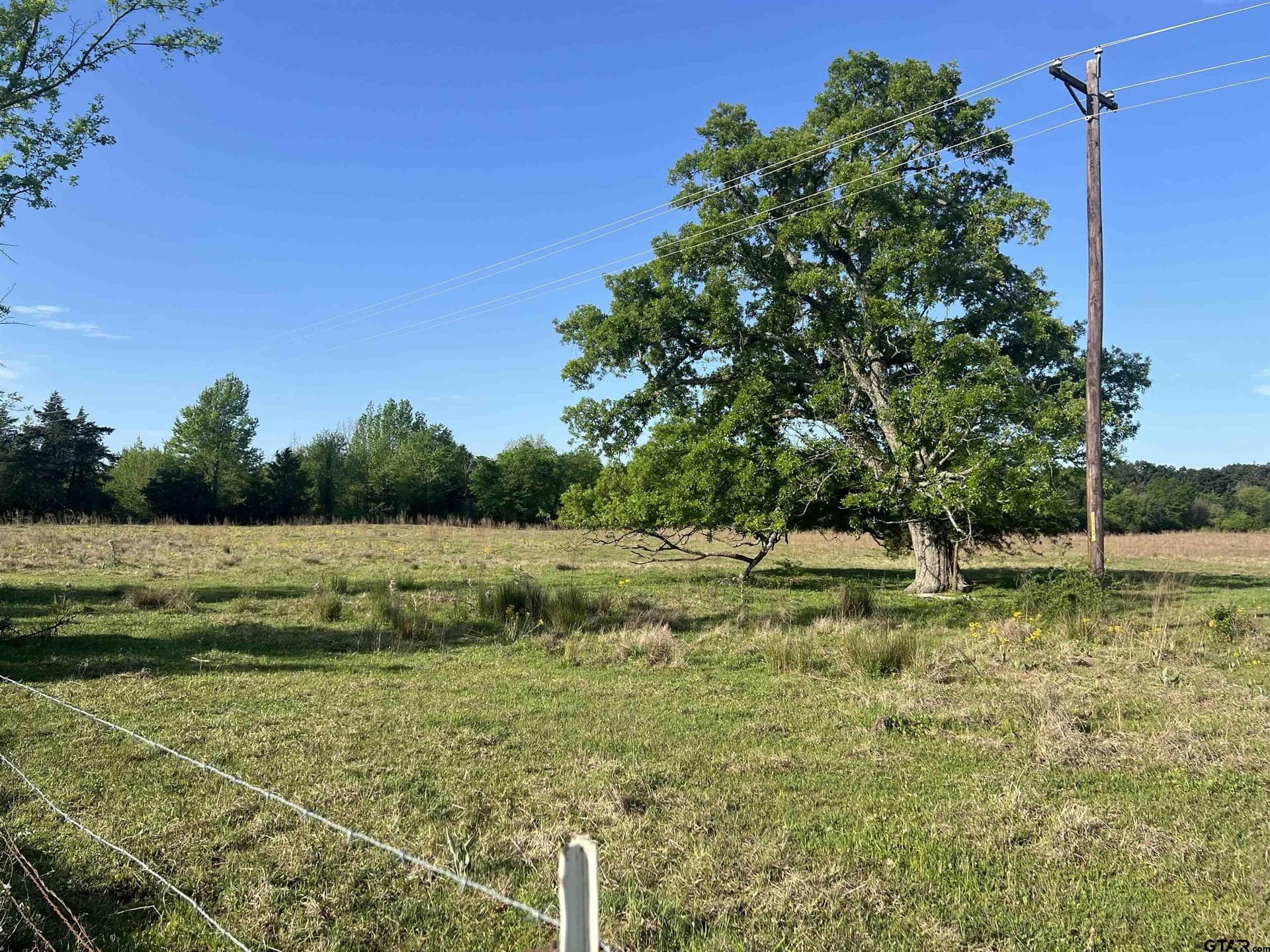 16.5 acres in Titus County gallery image 2
